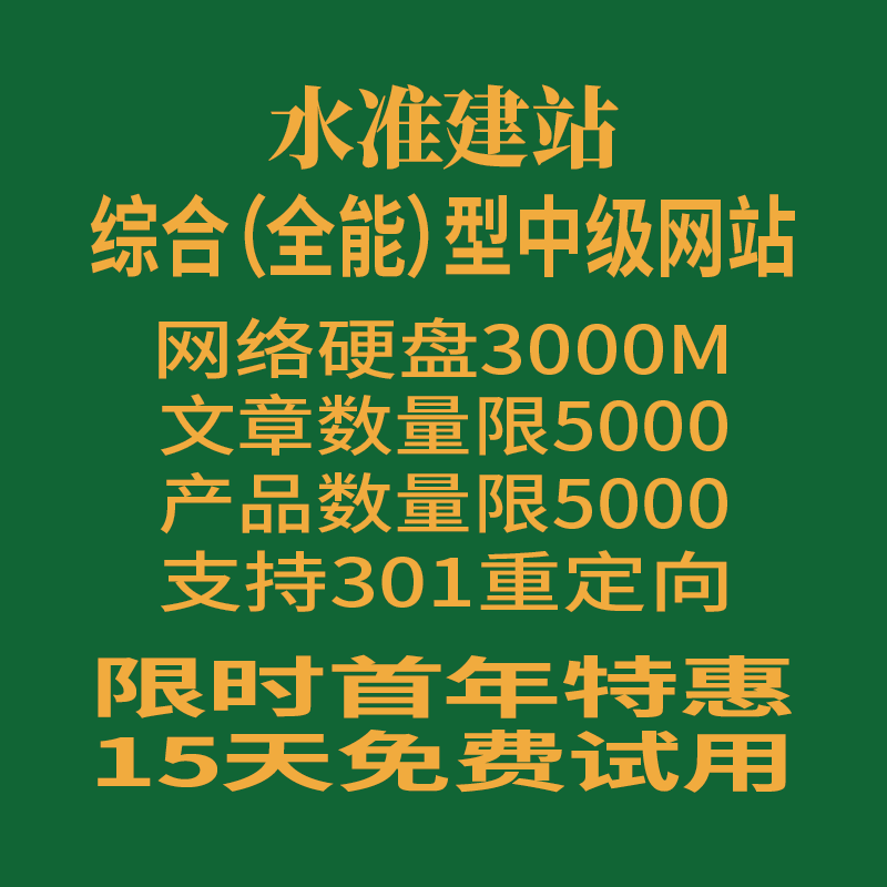 综合型中级网站